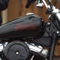 無骨で無駄を削ぎ落としたボバースタイル、ソフテイル・スタンダード